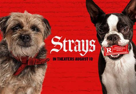 imdb strays|More.